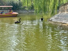 -南翠屏公园