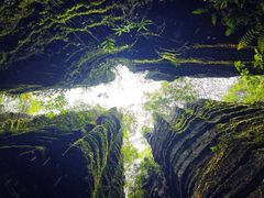 -梭布垭石林景区