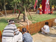 -西霞口神雕山野生动物世界