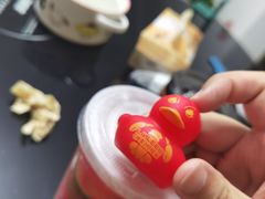 -哈尔滨北方森林动物园