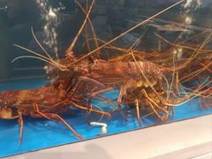 -北塘海鲜·天津菜(大光明桥旗舰店)