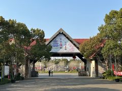 -上海海湾国家森林公园