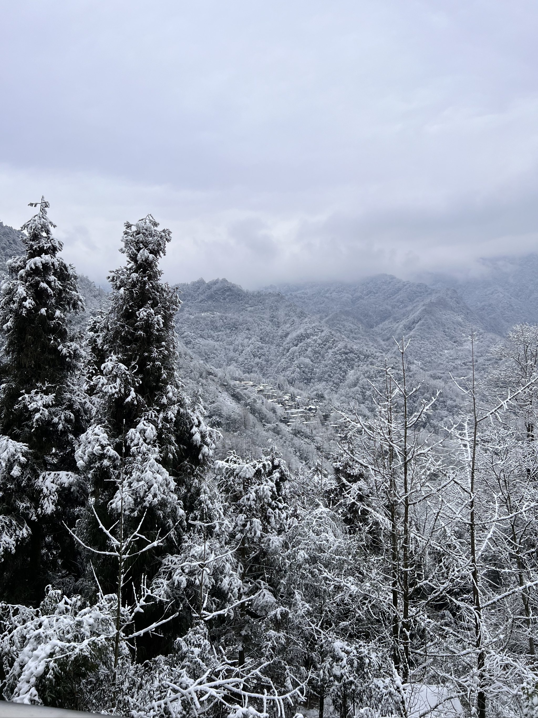 成都市区下雪图片