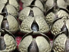 -维乐口腔医院(福清院)