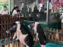 -柳州市动物园