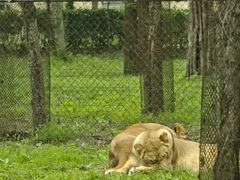 -秦皇岛野生动物园