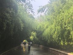 -泰安地下龙宫景区