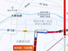 -杨梅坑