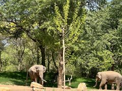 -北京野生动物园