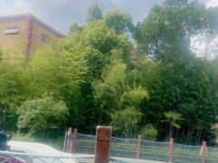 -上海玛雅海滩水公园