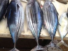 -尼甘布海鲜市场