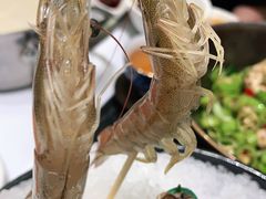 -红鼎豆捞·非遗鲍皇汤火锅(宝丰路店)