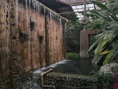 -呀路古热带植物园