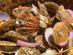 高压锅扇贝-蚝堡海鲜·威海菜·海肠捞饭·烧烤·亚洲吃蚝公司(幸福门店)