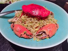 -一麦·龙岛(上海青浦店)