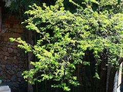 -田德能咖啡博物馆