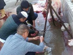 iphone_upload_pic-兰州老马食府(小潞邑店)