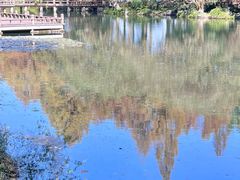 -知味观·味庄(杨公堤店)