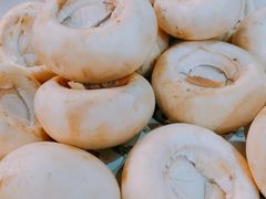 口蘑-马路牙子烧烤音乐酒馆(望京店)