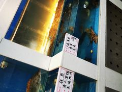 水产区-百富源·海鲜辽菜(浑河堡店)