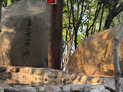 -观唐（国际）度假村温泉