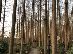 -上海怡沁园度假酒店