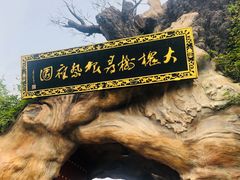 -大槐树寻根祭祖园