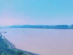 -Mo·Mo Nail 美甲美睫