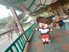 -贵州森林野生动物园
