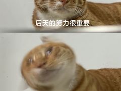 -青年公社烤鸭(滨湖银泰店)