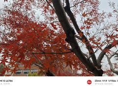 -浙江大学(玉泉校区)