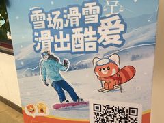 -蓟洲国际滑雪场