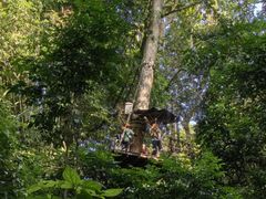 -西双版纳原始森林公园