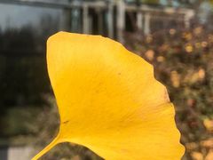 -常州花鸟园酒店(西太湖品牌优选店)