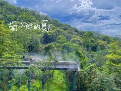 -阳台山森林公园