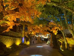 -横店影视城梦幻谷园区