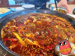 -大江美蛙鱼火锅(都江堰店)