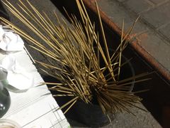 -管氏翅吧(广渠门店)