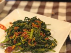 马来风光-文东记(马里士他路)
