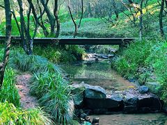 -杭州半山国家森林公园