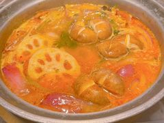 -禄婶鸡煲·打边炉
