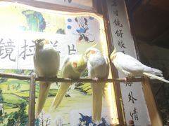 -百里峡七彩艺术小镇