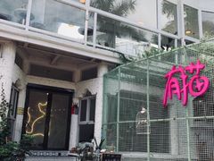 -有猫主题·治愈系猫咖(曾厝垵店)