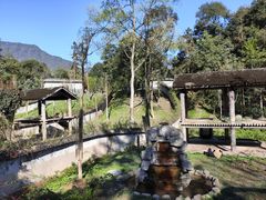 -中国大熊猫保护研究中心雅安碧峰峡基地