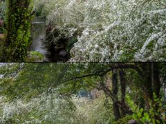 -中国茶叶博物馆(双峰馆区)