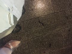 -福苑粥铺(长春大街店)