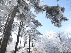 -湖州龙王山景区