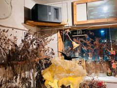 -野草莓自由市场