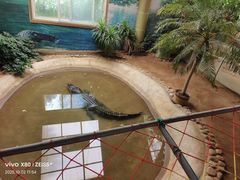 -西霞口神雕山野生动物世界