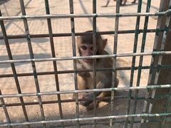 -南京金牛湖风景区